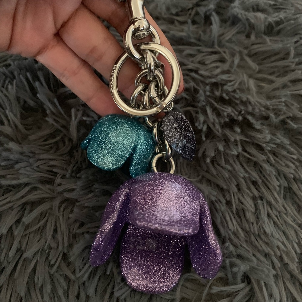 Accessory coach